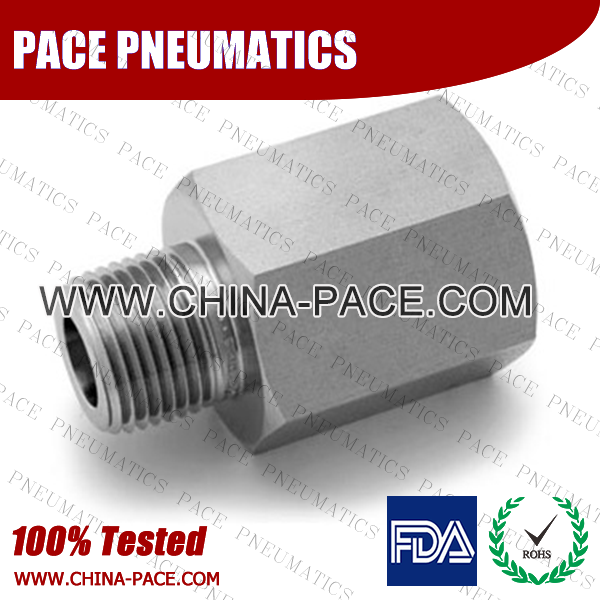 Stainless Steel Reducer Adapter Pipe Fittings